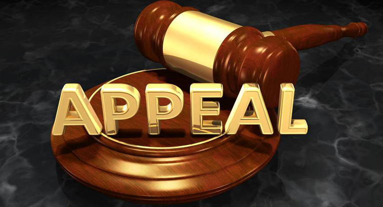 Gavel with the word “Appeal” symbolizing immigration and refugee appeal representation by Venko Law Firm in Ottawa.